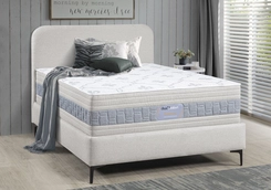 Conjunto Box Dualconfort Essenza 1,38 X 1,88