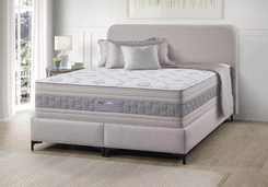 Conjunto Box Dualconfort Essenza 1,93 X 2,03