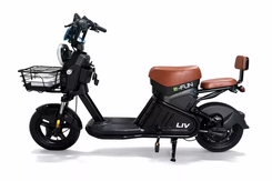 Scooter Eletrica Efun Liv 1000W 60V Litio Pto